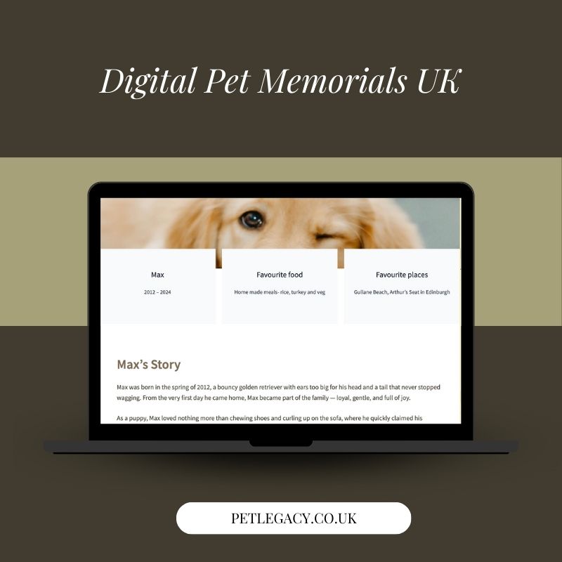 Example of a digital pet memorial page in the UK showing a golden retriever tribute on PetLegacy.