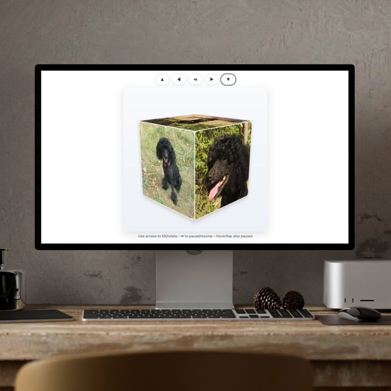 3D rotating photo cube of a black poodle displayed on a computer screen as part of a digital pet memorial.