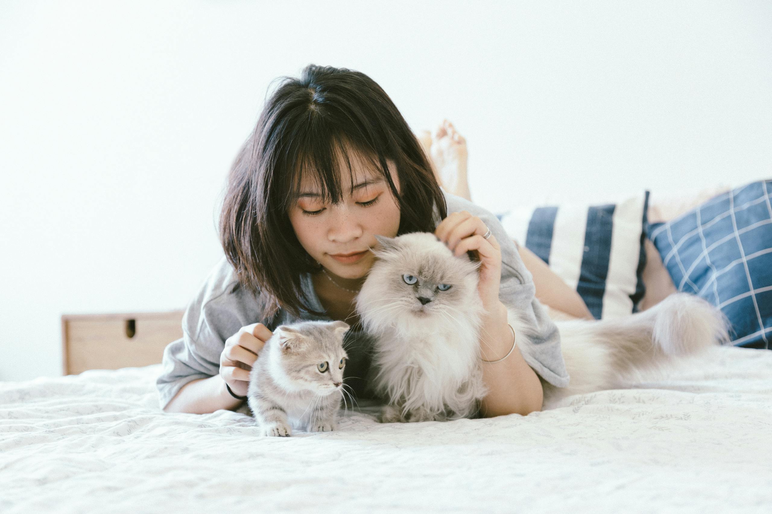 How QR Codes Are Changing the Way We Remember Our Pets
