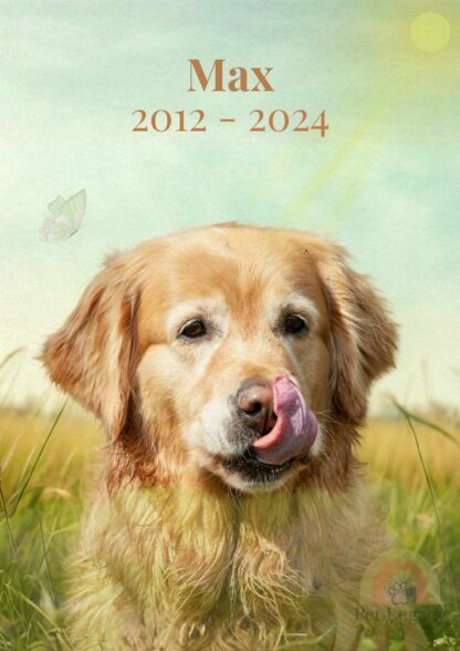Meadow-style digital pet portrait of a golden retriever in soft grassy background