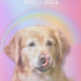 Rainbow Bridge digital pet portrait of a golden retriever with soft pastel rainbow background