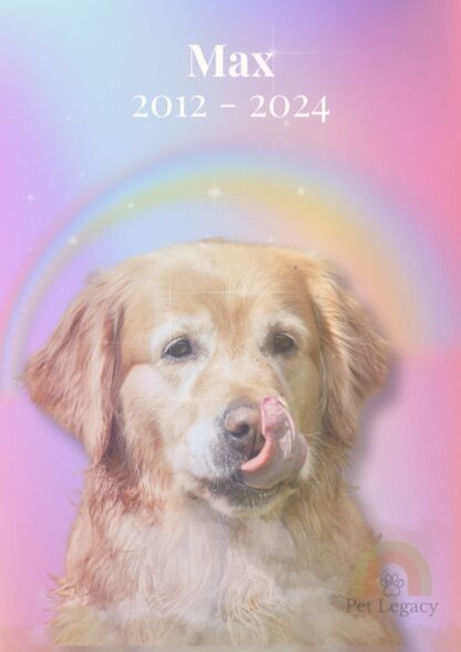 Rainbow Bridge digital pet portrait of a golden retriever with soft pastel rainbow background