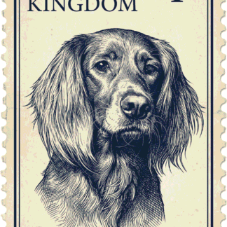 United Kingdom 1st class postage stamp style pet portrait of a dog in navy ink on aged paper with perforated edges.